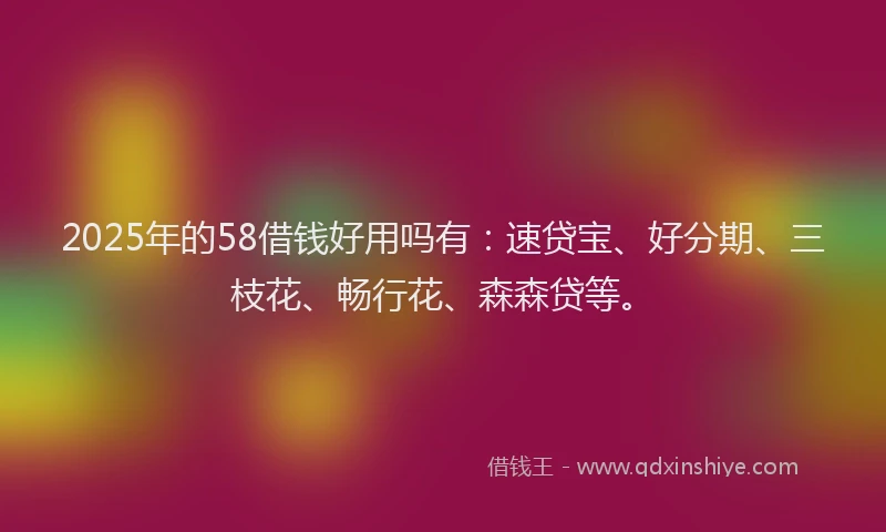 2025年的58借钱好用吗有：速贷宝、好分期、三枝花、畅行花、森森贷等。