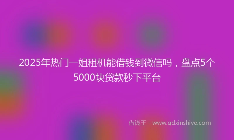 2025年热门一姐租机能借钱到微信吗，盘点5个5000块贷款秒下平台
