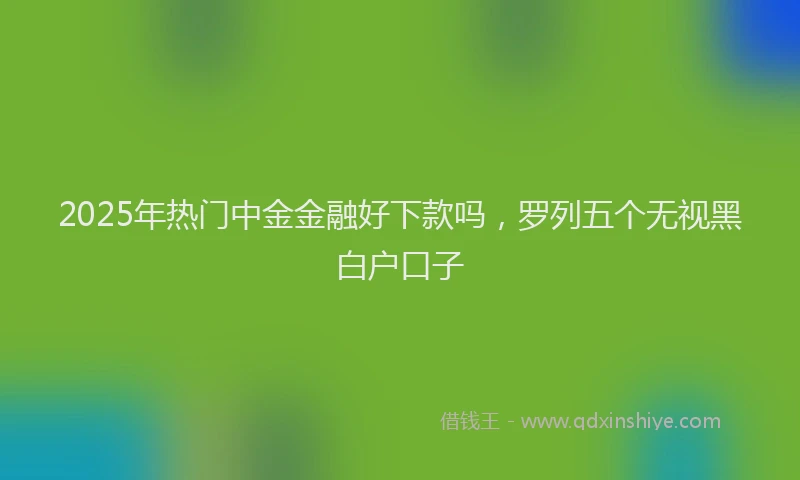 2025年热门中金金融好下款吗，罗列五个无视黑白户口子