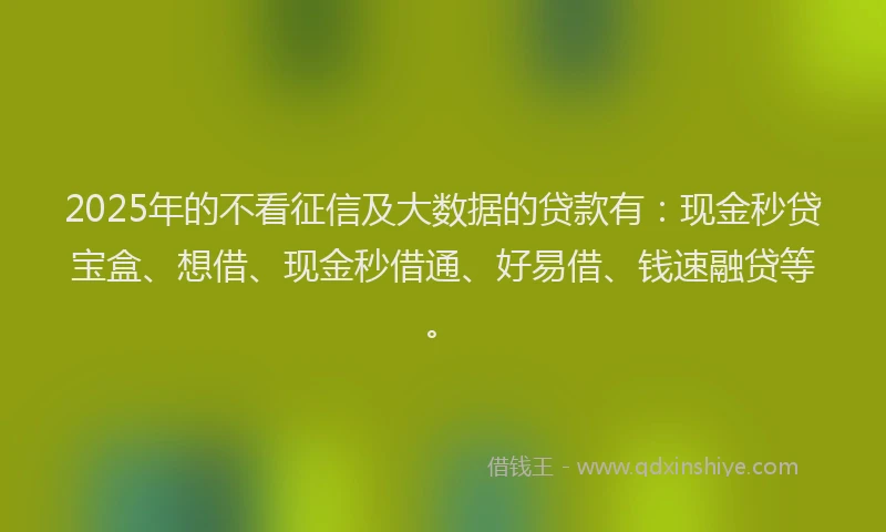 2025年的不看征信及大数据的贷款有：现金秒贷宝盒、想借、现金秒借通、好易借、钱速融贷等。