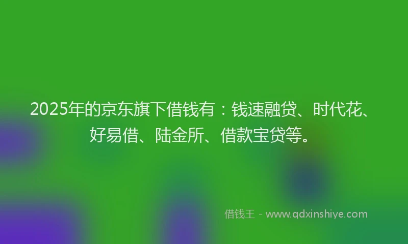 2025年的京东旗下借钱有：钱速融贷、时代花、好易借、陆金所、借款宝贷等。