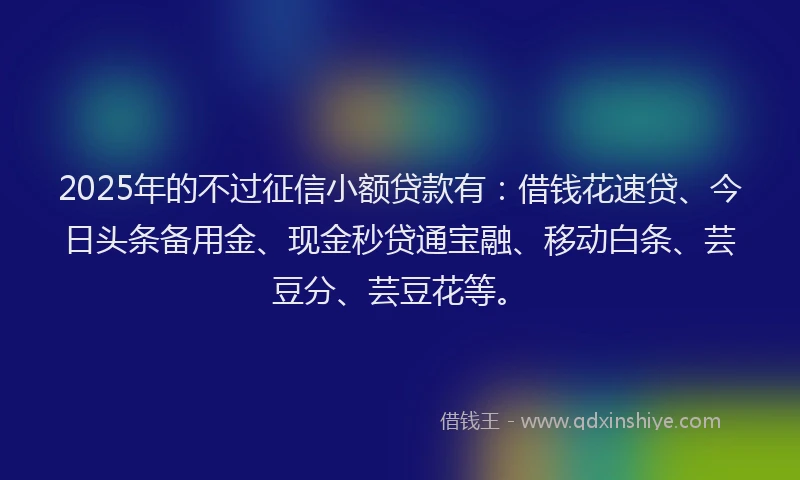2025年的不过征信小额贷款有：借钱花速贷、今日头条备用金、现金秒贷通宝融、移动白条、芸豆分、芸豆花等。
