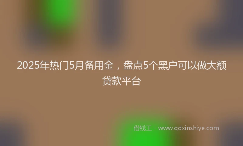 2025年热门5月备用金，盘点5个黑户可以做大额贷款平台