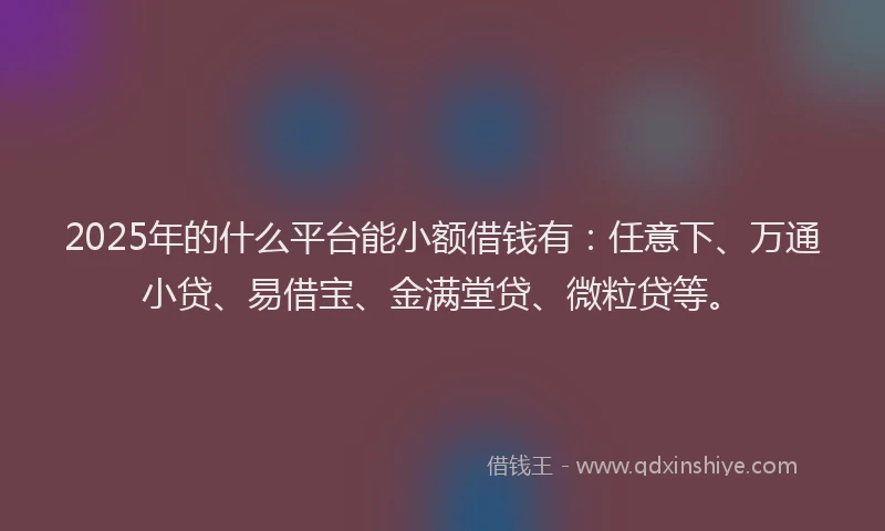 2025年的什么平台能小额借钱有：任意下、万通小贷、易借宝、金满堂贷、微粒贷等。
