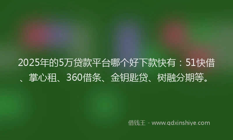 2025年的5万贷款平台哪个好下款快有：51快借、掌心租、360借条、金钥匙贷、树融分期等。