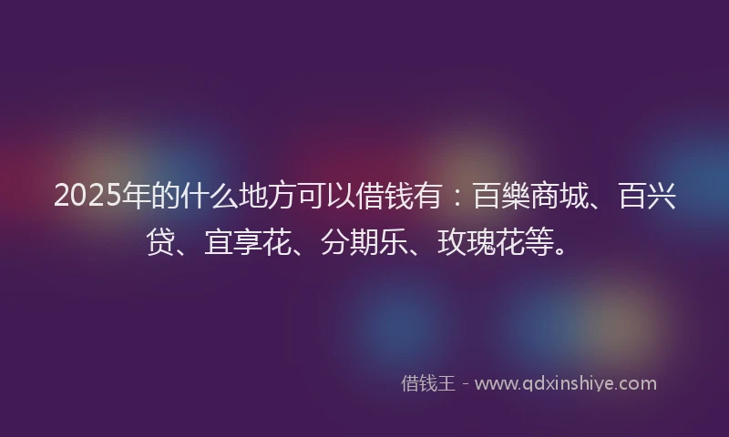 2025年的什么地方可以借钱有：百樂商城、百兴贷、宜享花、分期乐、玫瑰花等。