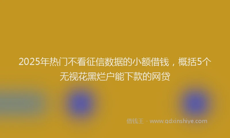 2025年热门不看征信数据的小额借钱，概括5个无视花黑烂户能下款的网贷