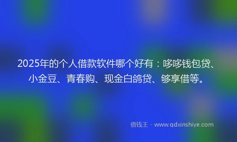 2025年的个人借款软件哪个好有：哆哆钱包贷、小金豆、青春购、现金白鸽贷、够享借等。