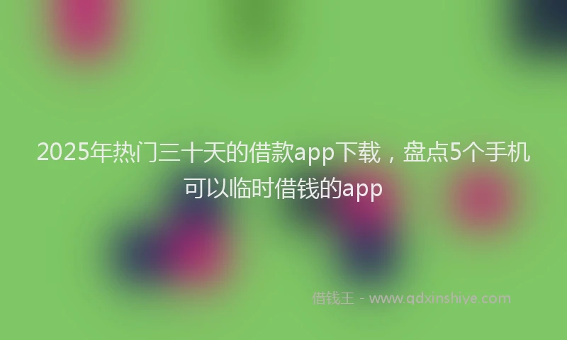 2025年热门三十天的借款app下载，盘点5个手机可以临时借钱的app