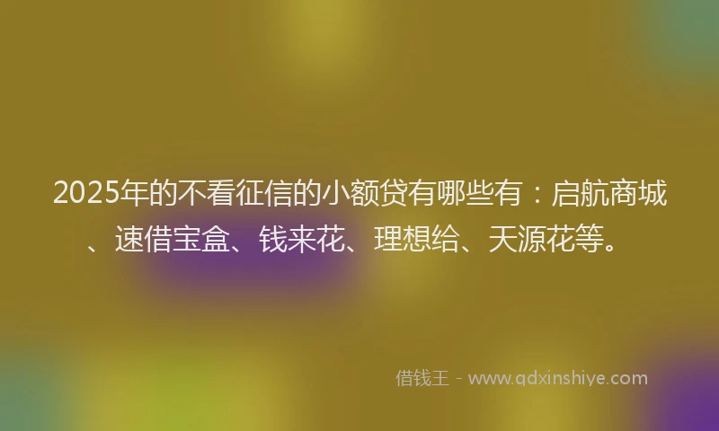 2025年的不看征信的小额贷有哪些有：启航商城、速借宝盒、钱来花、理想给、天源花等。