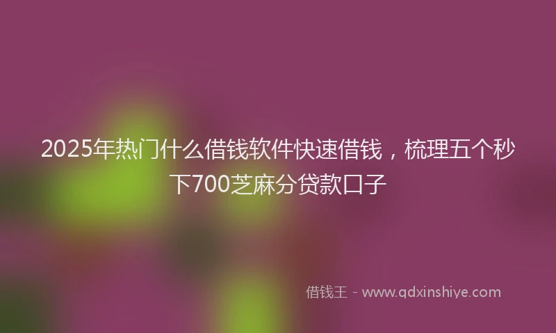 2025年热门什么借钱软件快速借钱，梳理五个秒下700芝麻分贷款口子