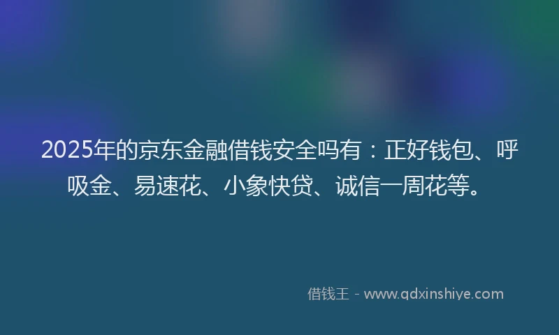 2025年的京东金融借钱安全吗有：正好钱包、呼吸金、易速花、小象快贷、诚信一周花等。