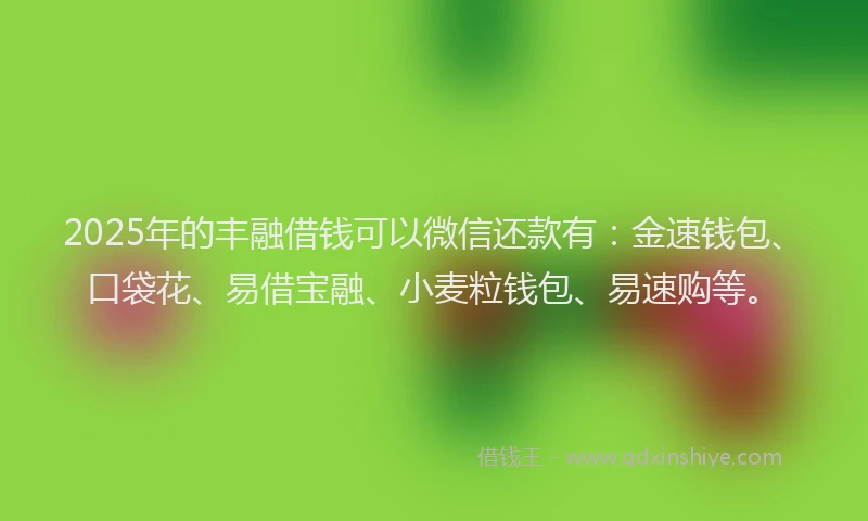 2025年的丰融借钱可以微信还款有：金速钱包、口袋花、易借宝融、小麦粒钱包、易速购等。