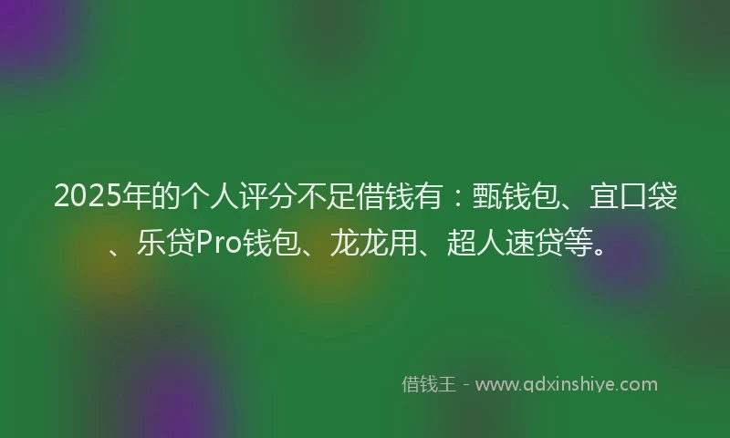 2025年的个人评分不足借钱有：甄钱包、宜口袋、乐贷Pro钱包、龙龙用、超人速贷等。