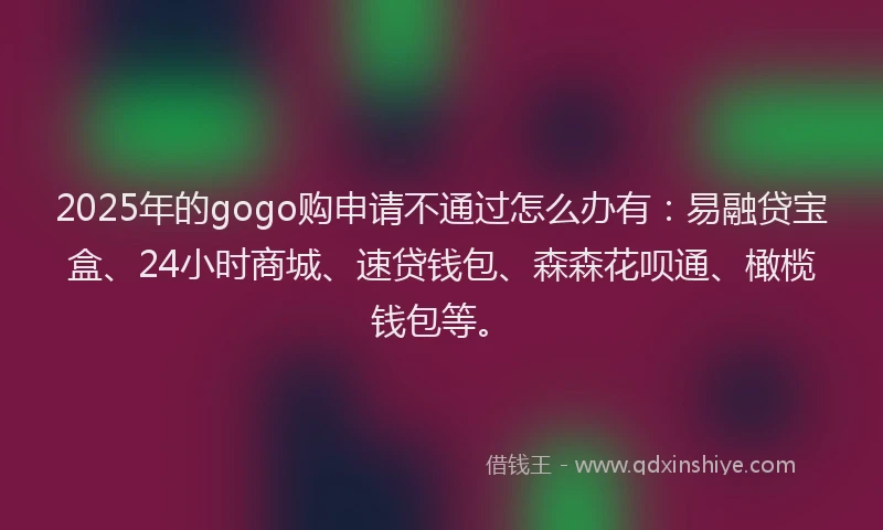 2025年的gogo购申请不通过怎么办有：易融贷宝盒、24小时商城、速贷钱包、森森花呗通、橄榄钱包等。