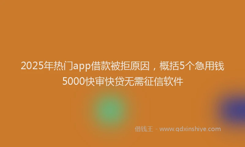 2025年热门app借款被拒原因，概括5个急用钱5000快审快贷无需征信软件