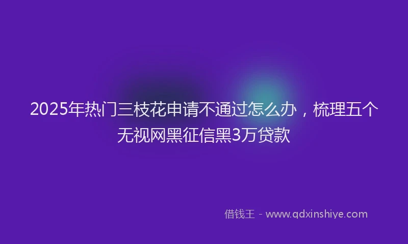 2025年热门三枝花申请不通过怎么办，梳理五个无视网黑征信黑3万贷款