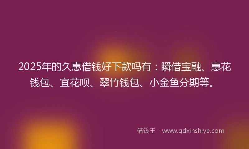 2025年的久惠借钱好下款吗有：瞬借宝融、惠花钱包、宜花呗、翠竹钱包、小金鱼分期等。