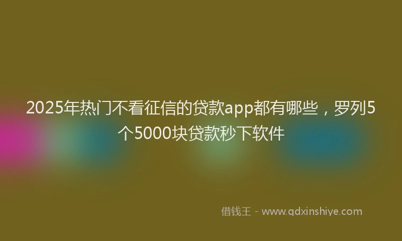 2025年热门不看征信的贷款app都有哪些，罗列5个5000块贷款秒下软件
