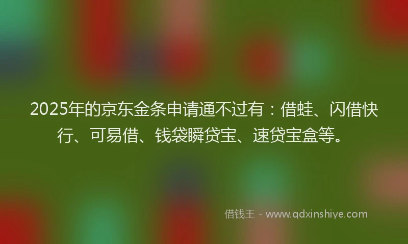 2025年的京东金条申请通不过有：借蛙、闪借快行、可易借、钱袋瞬贷宝、速贷宝盒等。