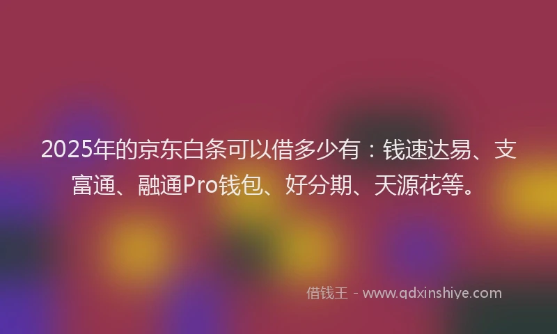 2025年的京东白条可以借多少有：钱速达易、支富通、融通Pro钱包、好分期、天源花等。