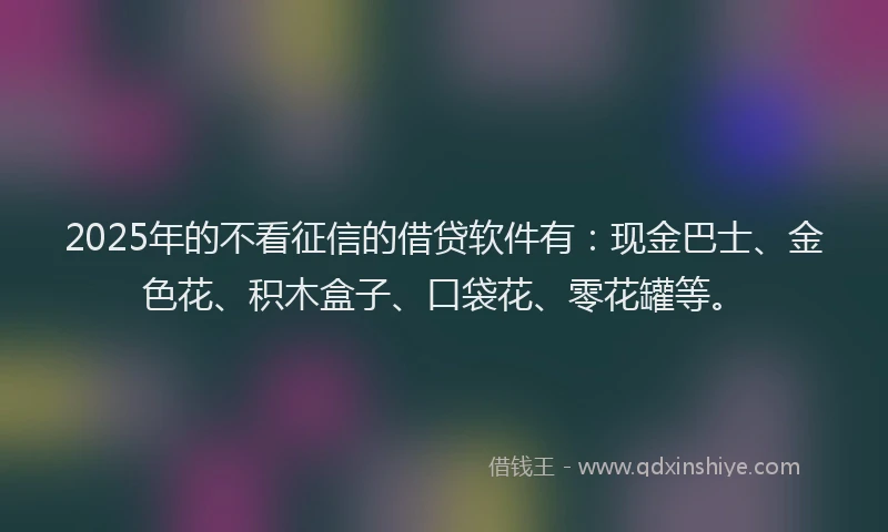 2025年的不看征信的借贷软件有：现金巴士、金色花、积木盒子、口袋花、零花罐等。