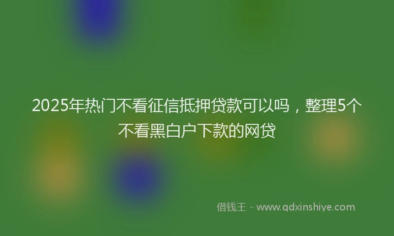2025年热门不看征信抵押贷款可以吗，整理5个不看黑白户下款的网贷