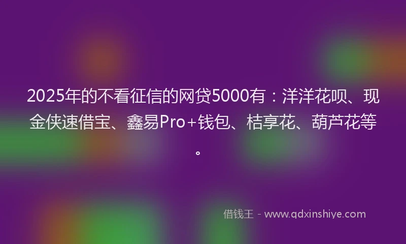 2025年的不看征信的网贷5000有：洋洋花呗、现金侠速借宝、鑫易Pro+钱包、桔享花、葫芦花等。