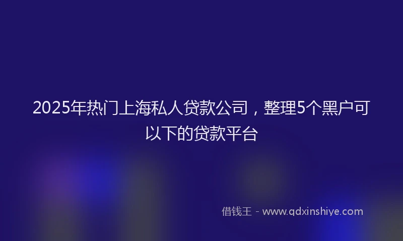 2025年热门上海私人贷款公司，整理5个黑户可以下的贷款平台