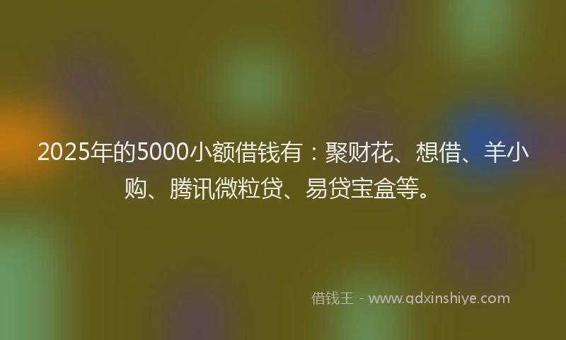 2025年的5000小额借钱有：聚财花、想借、羊小购、腾讯微粒贷、易贷宝盒等。