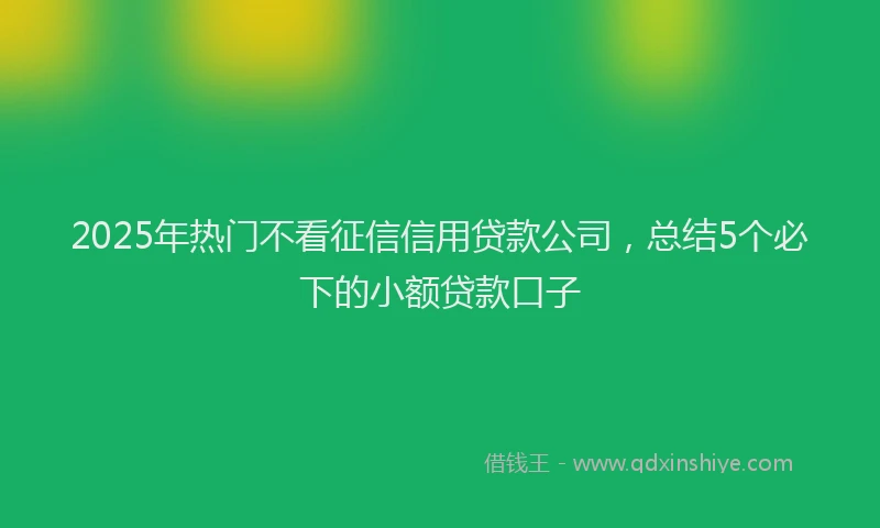 2025年热门不看征信信用贷款公司，总结5个必下的小额贷款口子