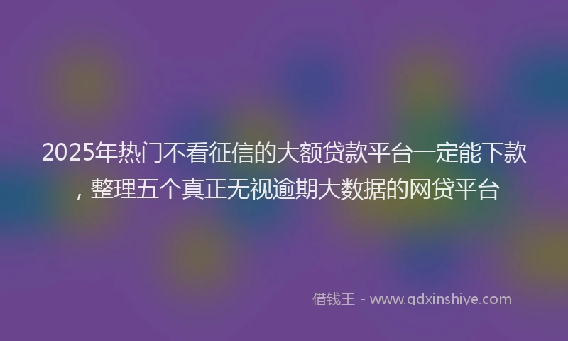 2025年热门不看征信的大额贷款平台一定能下款，整理五个真正无视逾期大数据的网贷平台