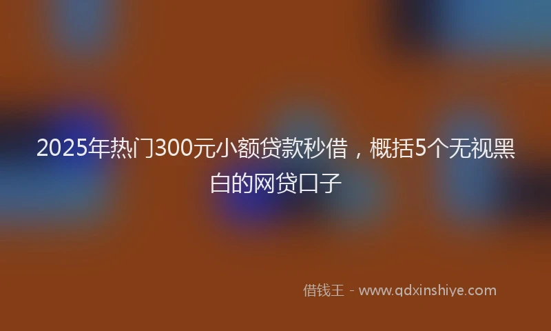 2025年热门300元小额贷款秒借，概括5个无视黑白的网贷口子
