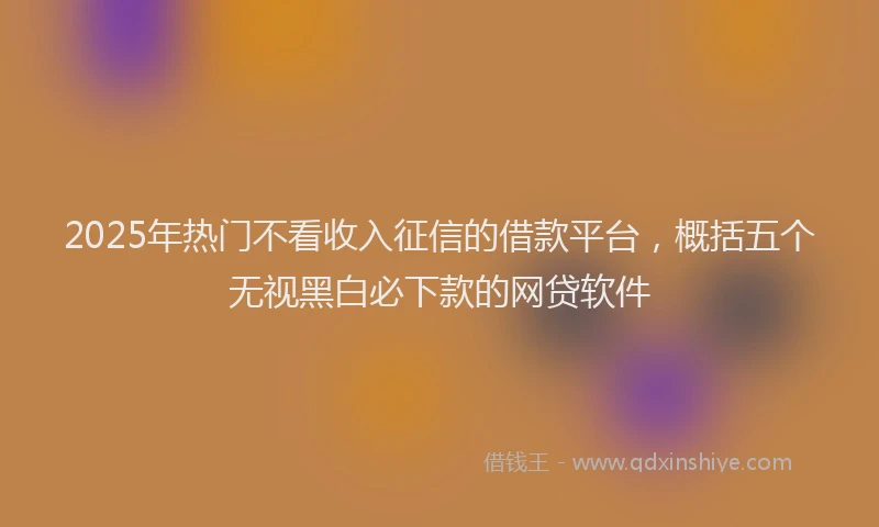 2025年热门不看收入征信的借款平台，概括五个无视黑白必下款的网贷软件