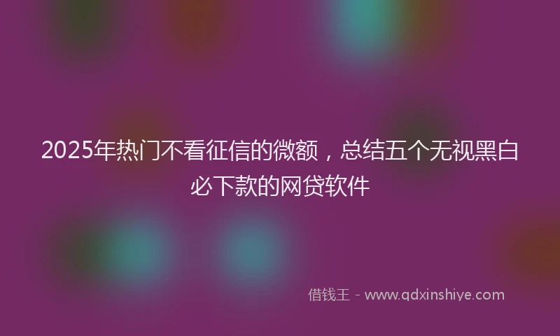 2025年热门不看征信的微额，总结五个无视黑白必下款的网贷软件