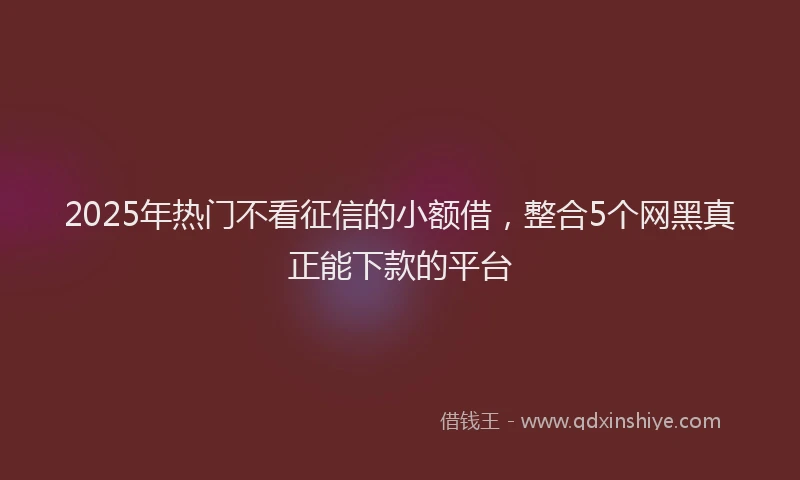 2025年热门不看征信的小额借，整合5个网黑真正能下款的平台