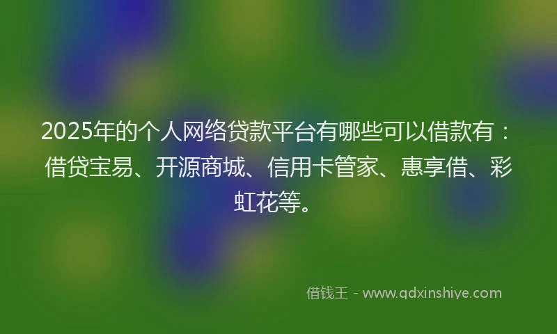 2025年的个人网络贷款平台有哪些可以借款有：借贷宝易、开源商城、信用卡管家、惠享借、彩虹花等。