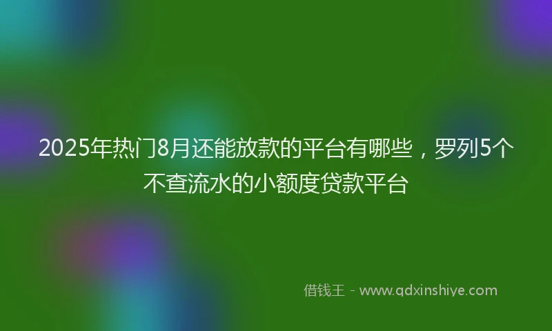 2025年热门8月还能放款的平台有哪些，罗列5个不查流水的小额度贷款平台
