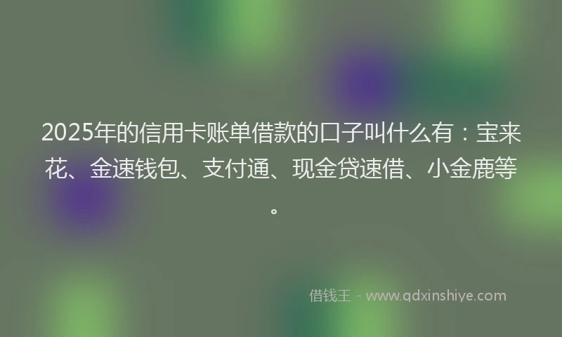 2025年的信用卡账单借款的口子叫什么有：宝来花、金速钱包、支付通、现金贷速借、小金鹿等。