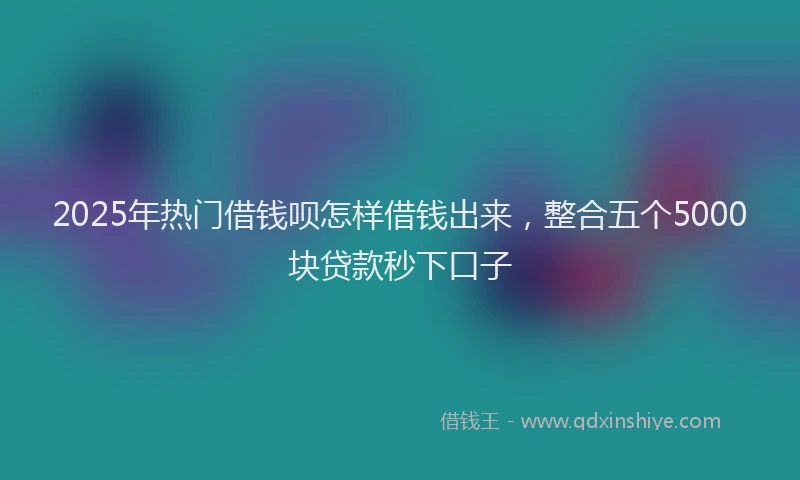 2025年热门借钱呗怎样借钱出来，整合五个5000块贷款秒下口子