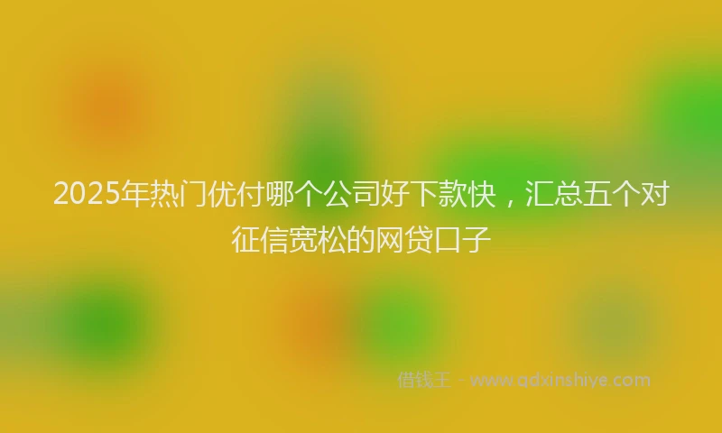 2025年热门优付哪个公司好下款快，汇总五个对征信宽松的网贷口子