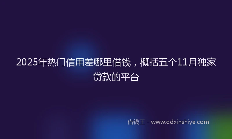 2025年热门信用差哪里借钱，概括五个11月独家贷款的平台