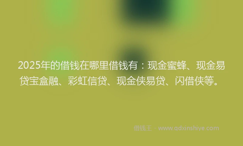 2025年的借钱在哪里借钱有：现金蜜蜂、现金易贷宝盒融、彩虹信贷、现金侠易贷、闪借侠等。