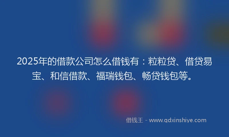 2025年的借款公司怎么借钱有：粒粒贷、借贷易宝、和信借款、福瑞钱包、畅贷钱包等。