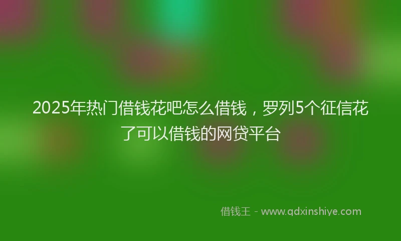 2025年热门借钱花吧怎么借钱，罗列5个征信花了可以借钱的网贷平台