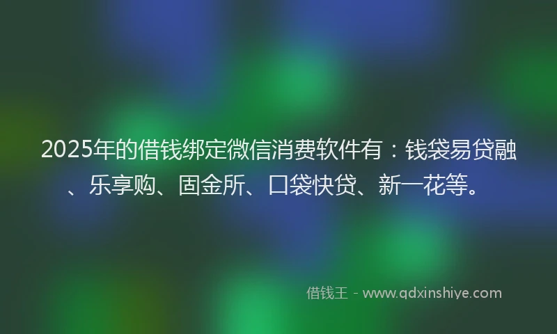 2025年的借钱绑定微信消费软件有：钱袋易贷融、乐享购、固金所、口袋快贷、新一花等。