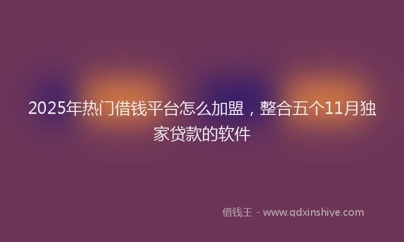 2025年热门借钱平台怎么加盟，整合五个11月独家贷款的软件