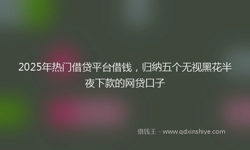 2025年热门借贷平台借钱，归纳五个无视黑花半夜下款的网贷口子