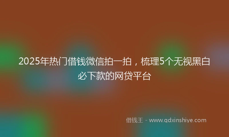 2025年热门借钱微信拍一拍，梳理5个无视黑白必下款的网贷平台