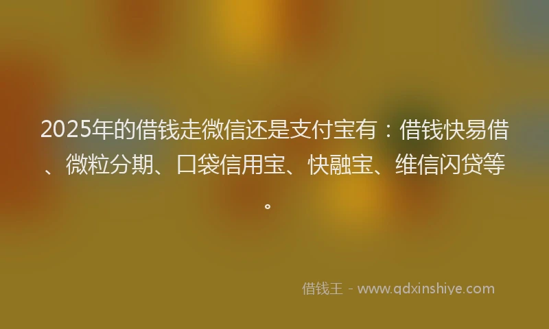 2025年的借钱走微信还是支付宝有：借钱快易借、微粒分期、口袋信用宝、快融宝、维信闪贷等。